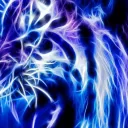 tigerboy4247337