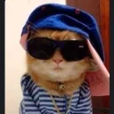 zavodilaczena avatar