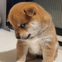 avatar เอ้าตายสะละ