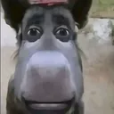 elgrandeaz