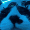 avatar —͟͞͞   𝞙𝞘𝞞