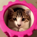 avatar —͟͞͞   𝞙𝞘𝞞