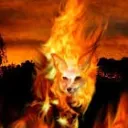 firefox4272