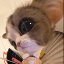 moonweii_