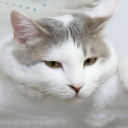 bazakiel1#8899's avatar