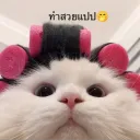 blisstina