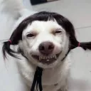 blisstina