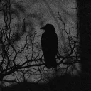 voidsfer