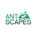 antscapes