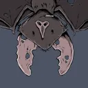 bruxa7035