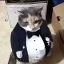 mrfatcat_ avatar