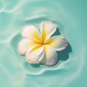 aquaaamarine