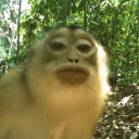 avatar Unauthorized Username