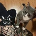 ropephobic