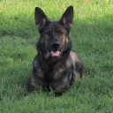 zalthor69#4619's avatar