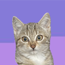 avatar MvNan