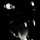 avatar ⋆ 𝓡𝓪𝓿𝓮𝓷 ‧₊˚✦