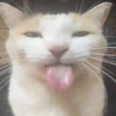 smugburger#0