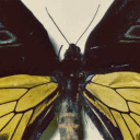 avatar ◟♯ . / Stevie. !