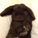 avatar ◟♯ . / Stevie. !