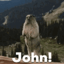 johnfoxyt