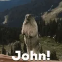 johnfoxyt