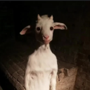 carppa profile picture