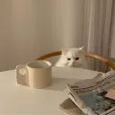 catataucharmoso