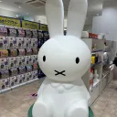 hato_sk