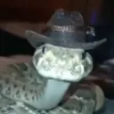 japkozjad