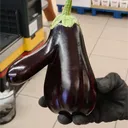 japkozjad