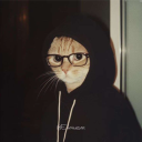 amer_rooster#1810's avatar