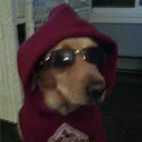 enjaiscute