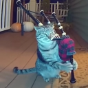 avatar 𝓓𝓸𝓰𝓰𝓸𝓸𝓸𝓸