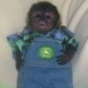 avatar Littletickle649