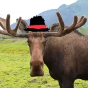 mrmoosegames