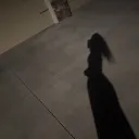 doginabluedonut