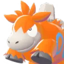 squirlyvgc