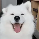 pfp