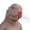 82da6df9dd782e03be8287ae8cbef49c