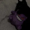 coco.1370