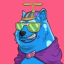cryptokangarooo