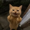 maybegxng