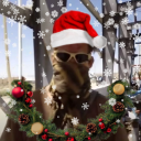 avatar mokanedeti⛄