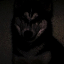 avatar gutz
