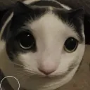 robomadz