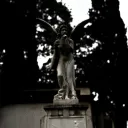 elviej098