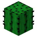 kayronnbr