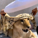 avatar مدير🍓!