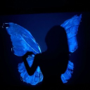 avatar ButterFly